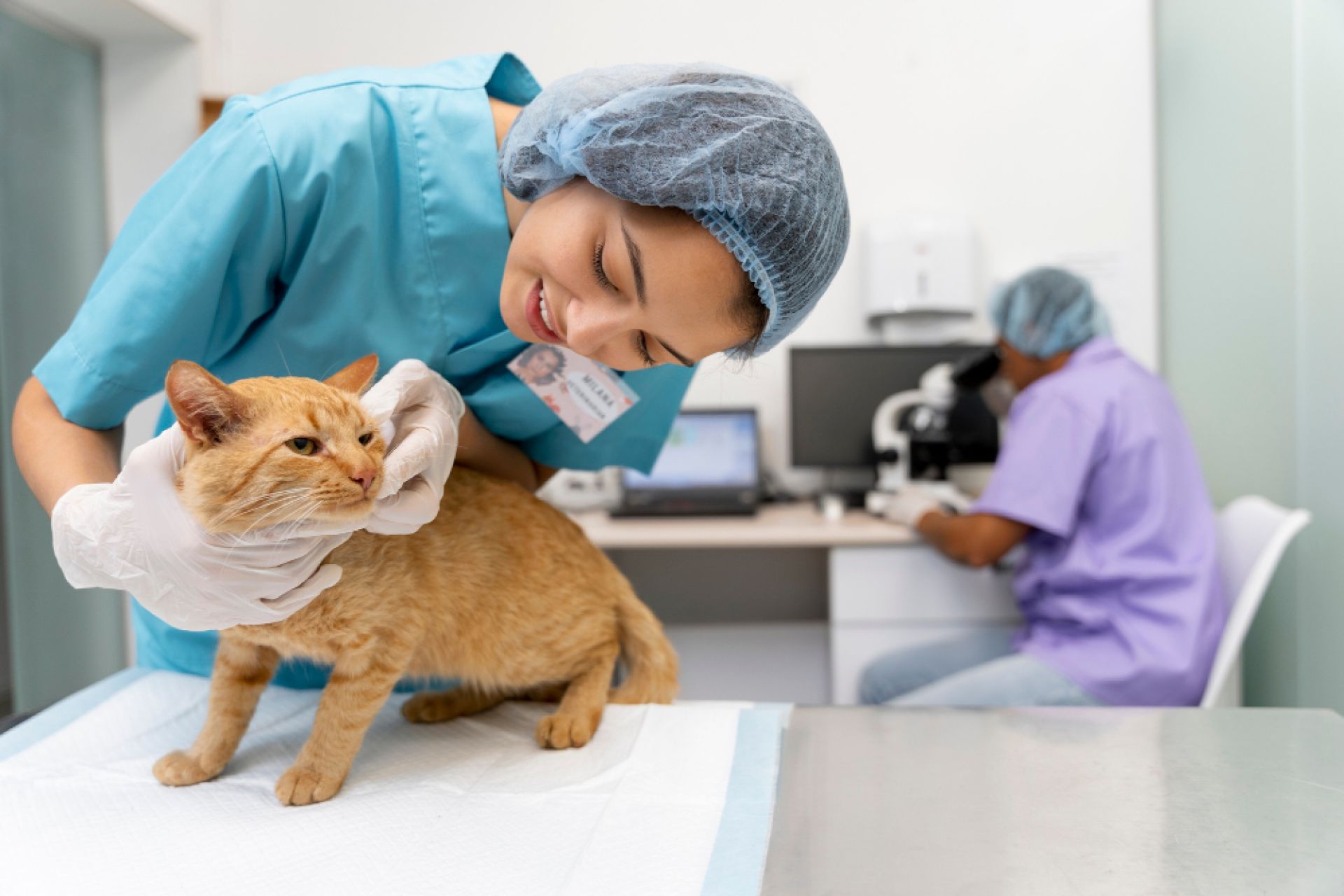 Consulta canina